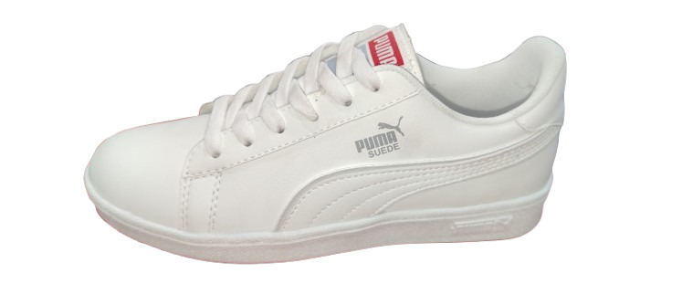 SUEDE ECONOMICO