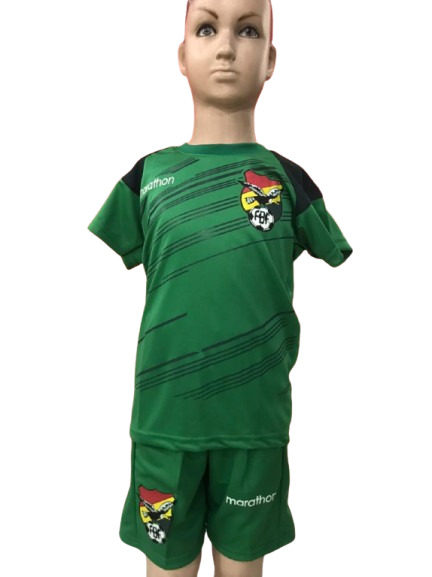 VER-BOL